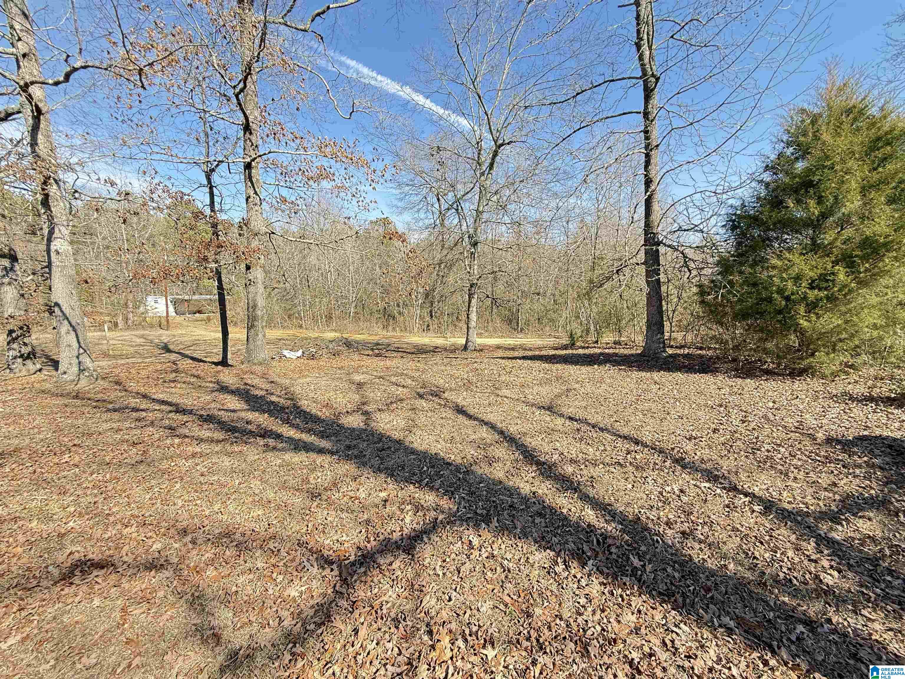 41 Reed Road Ashville, AL 35953 - Photo 13 of 58