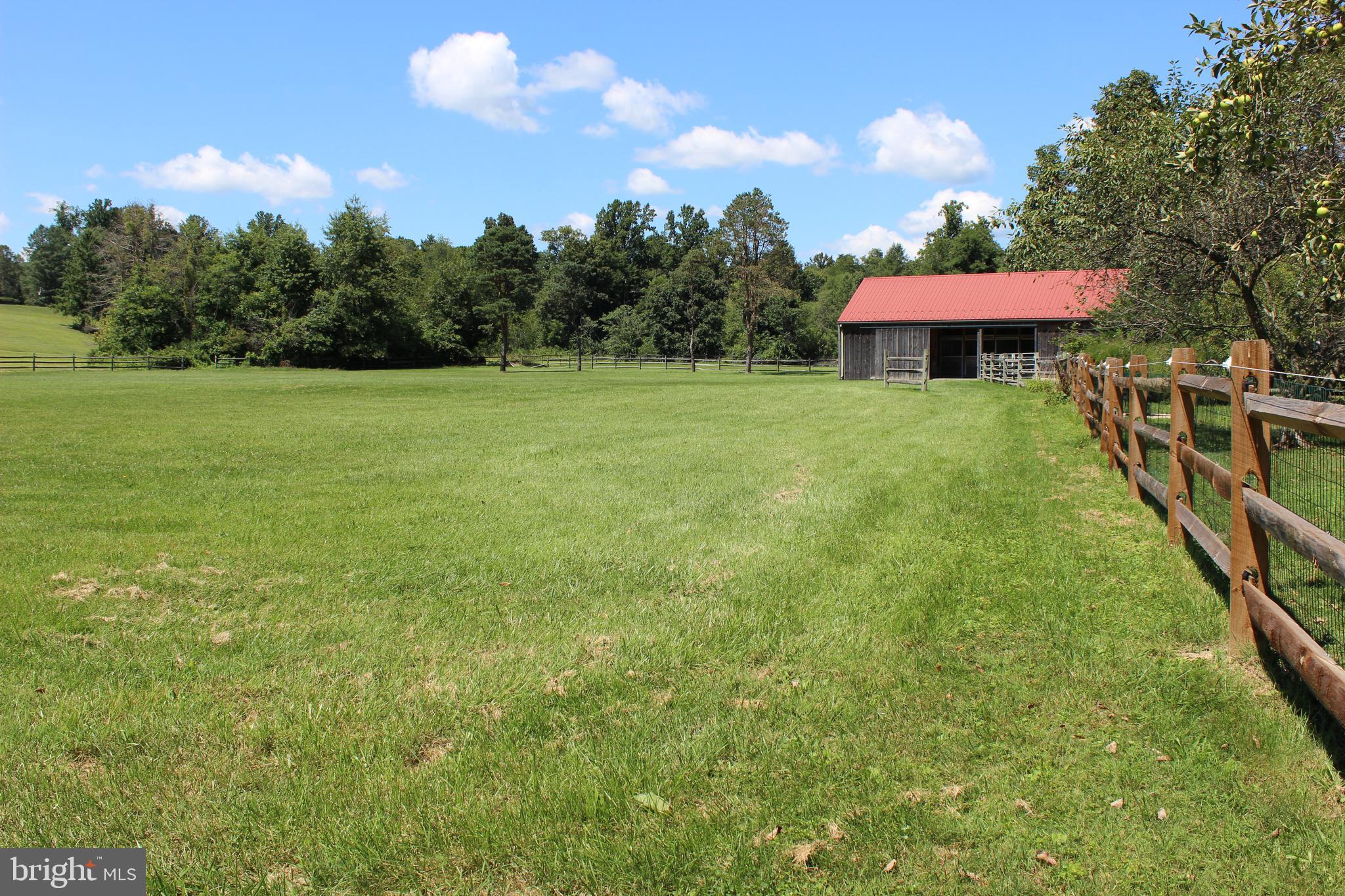 1294 Carlisle Road Aspers, PA 17304 - Photo 19 of 125 Fenced pasture