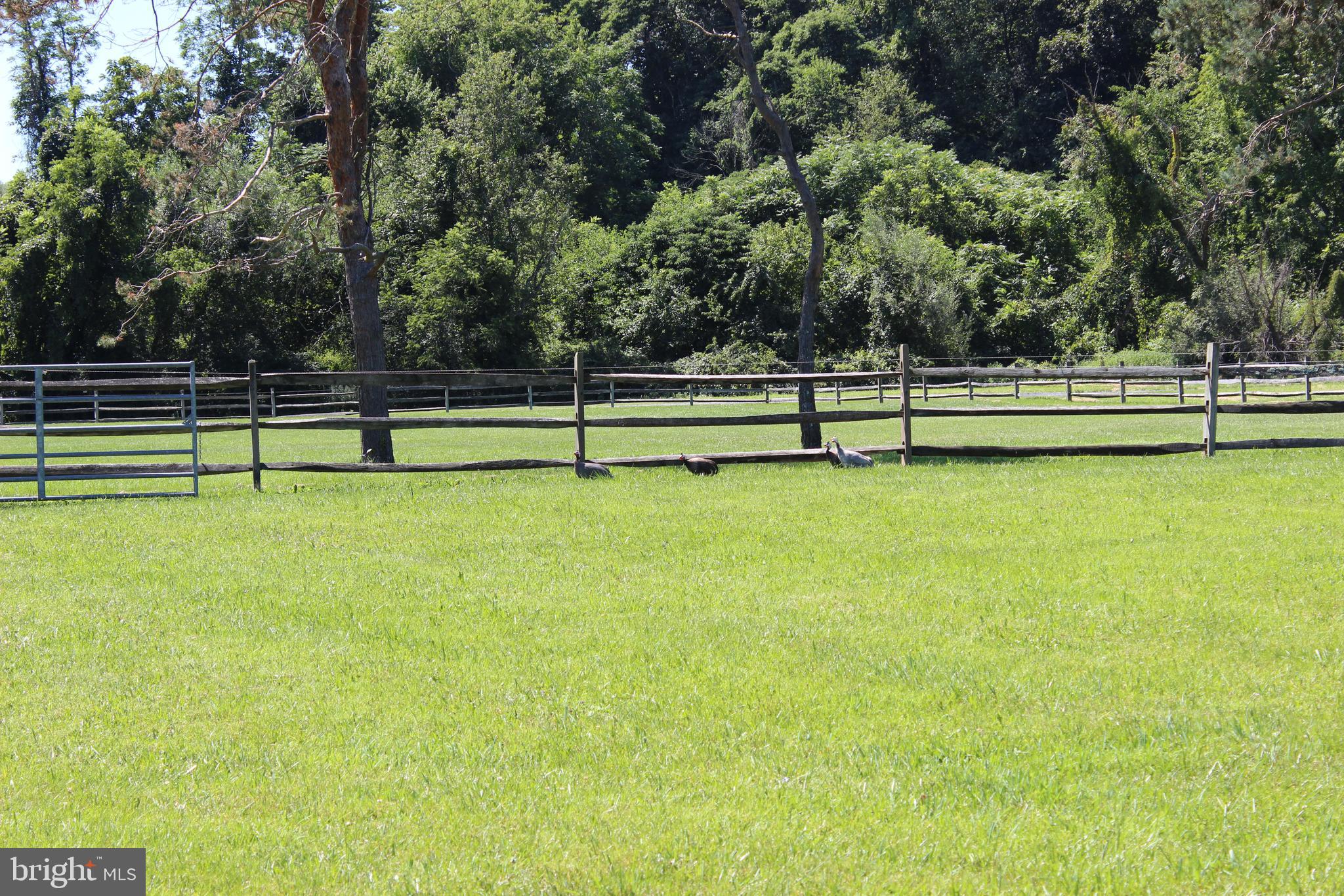 1294 Carlisle Road Aspers, PA 17304 - Photo 23 of 125 Pasture