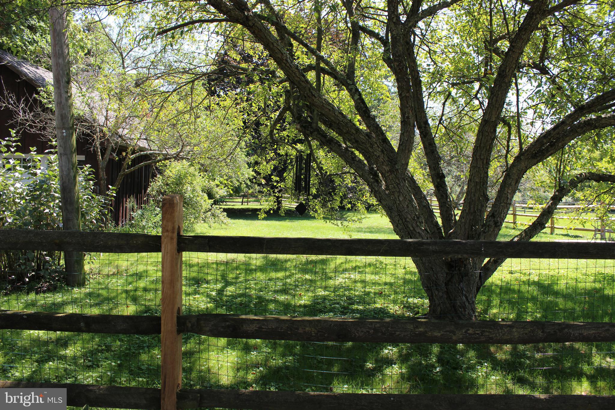 1294 Carlisle Road Aspers, PA 17304 - Photo 24 of 125 Fenced Back Yard