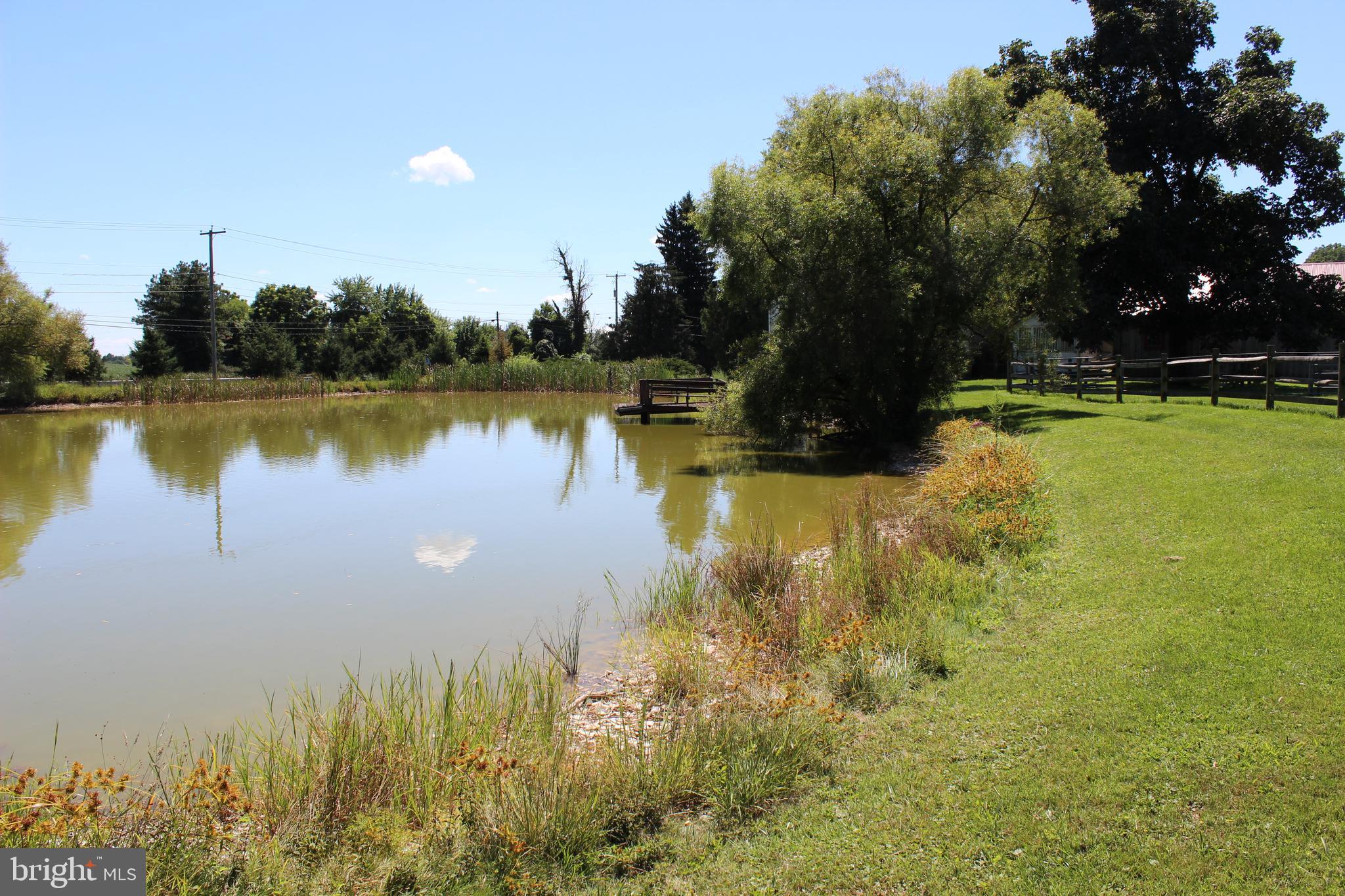 1294 Carlisle Road Aspers, PA 17304 - Photo 34 of 125 Pond