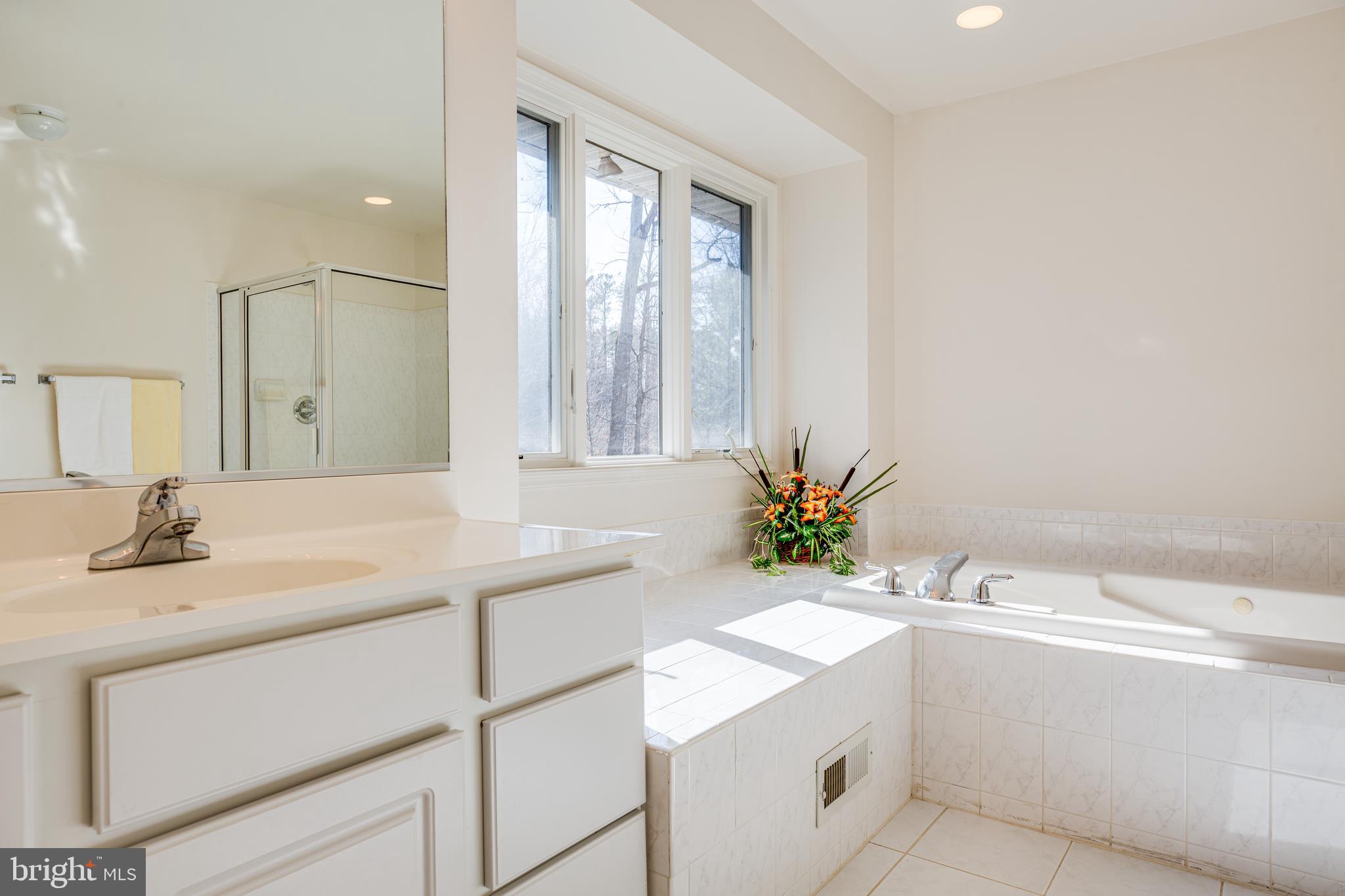 19 Winning Colors Road Stafford, VA 22556 - Photo 20 of 33 a bathroom with a sink and a bathtub