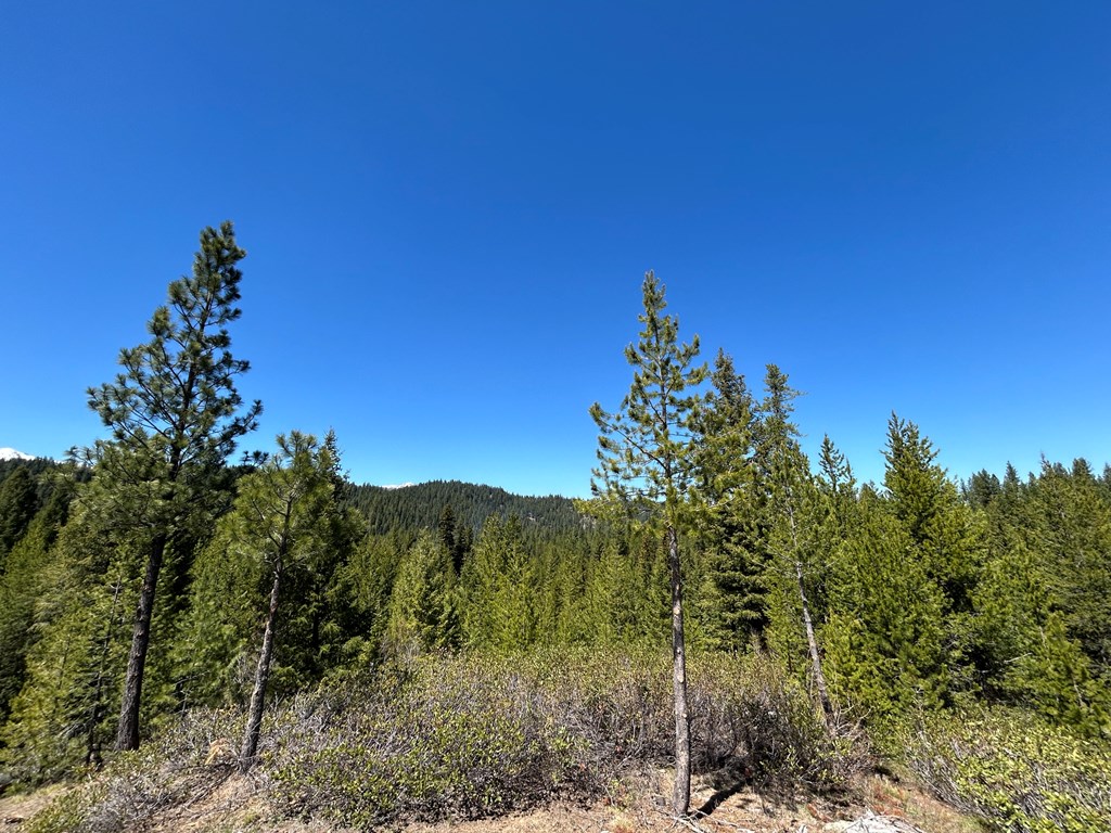 72 Sawtooth Loop, Unit LOT 32 Cascade, ID 83611 - Photo 9 of 12