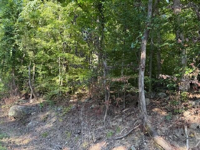 13 Mullins Cove Road Whitwell, TN 37397 - Photo 3 of 7 a view of a forest with trees and bushes