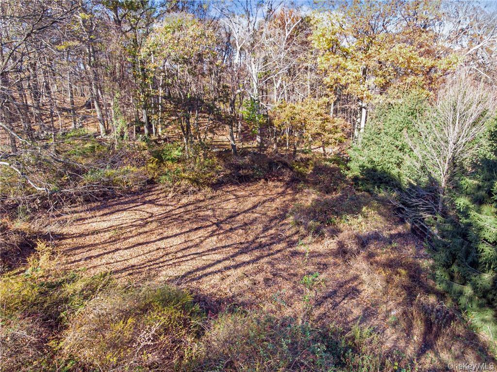 31 Sarles Street Armonk, NY 10504 - Photo 3 of 7 a view of a field with plants and trees