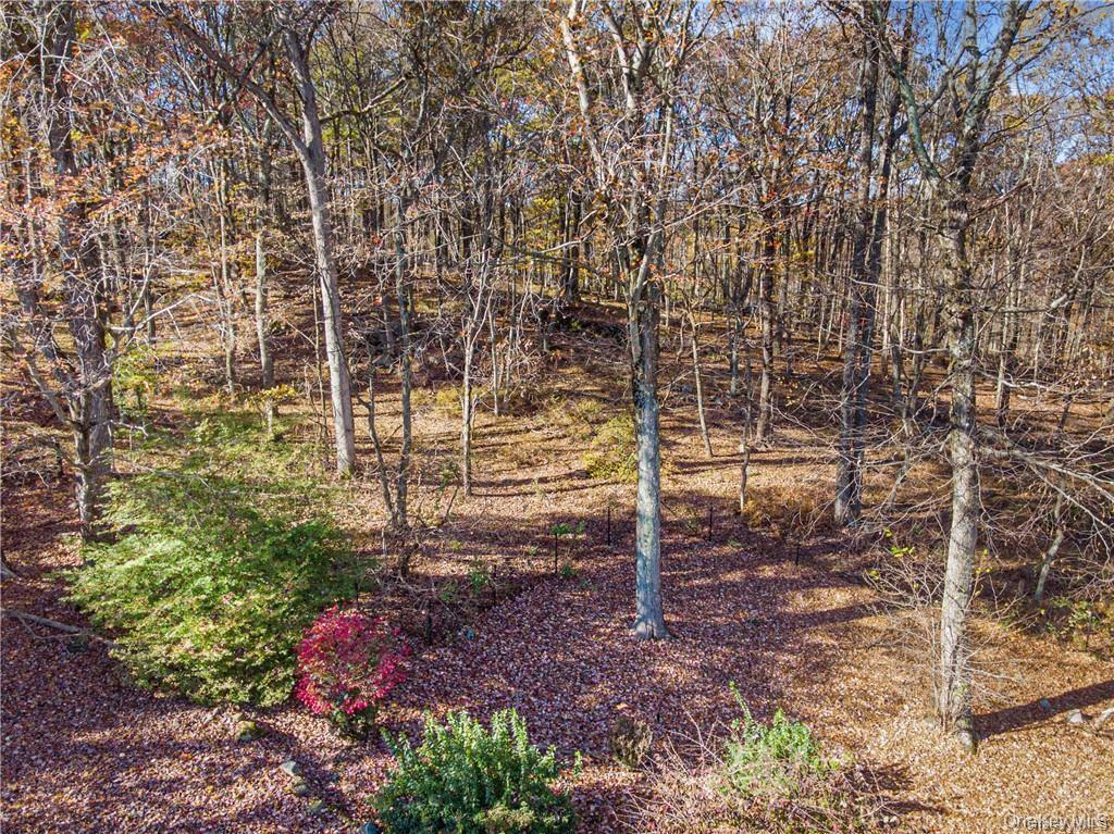 31 Sarles Street Armonk, NY 10504 - Photo 4 of 7 a view of a pathway with a yard