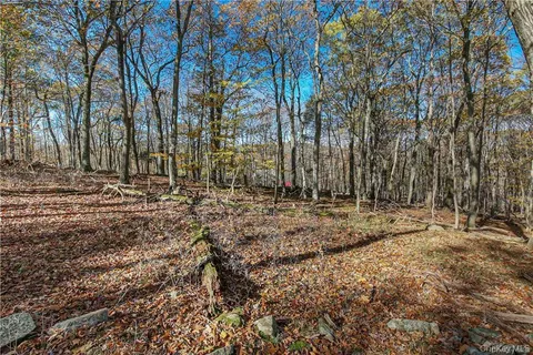 a view of a yard with trees