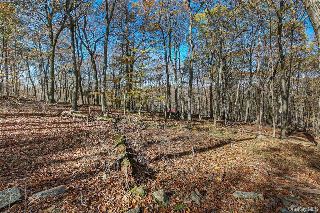 31 Sarles Street Armonk, NY 10504 - Photo 5 of 7 a view of a yard with trees