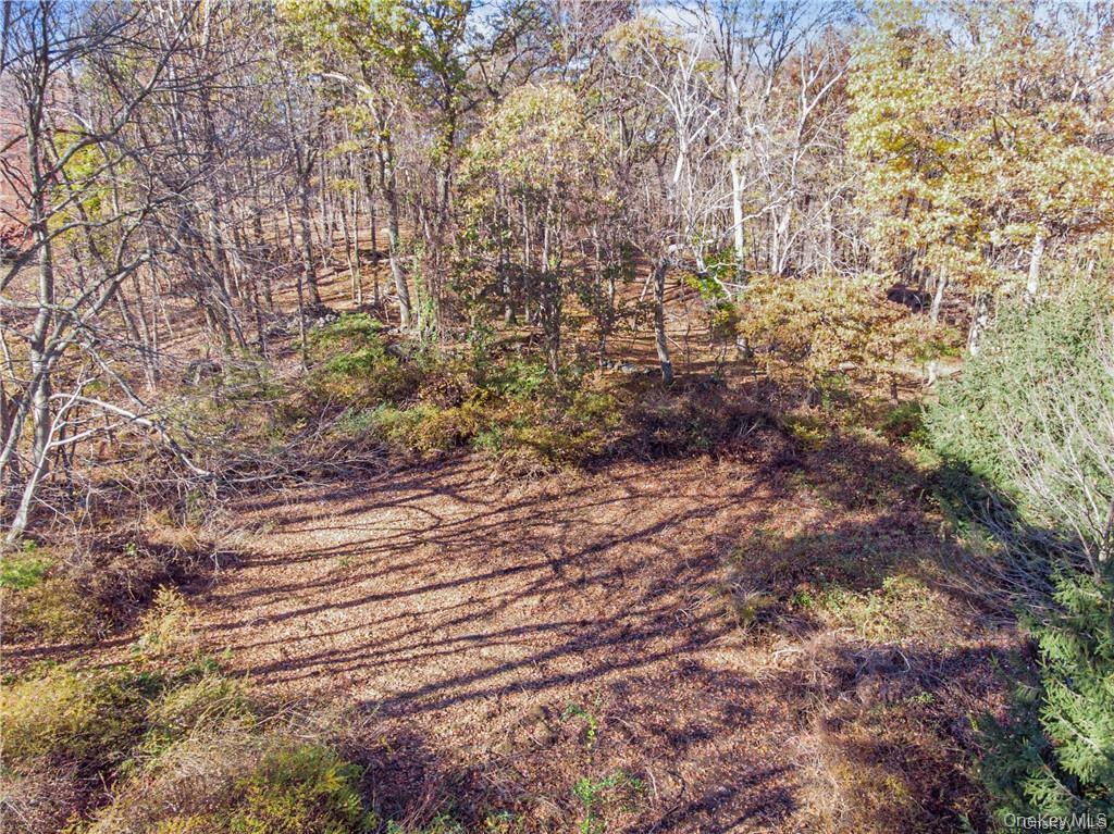 31 Sarles Street Armonk, NY 10504 - Photo 6 of 7 a view of a yard with plants and trees
