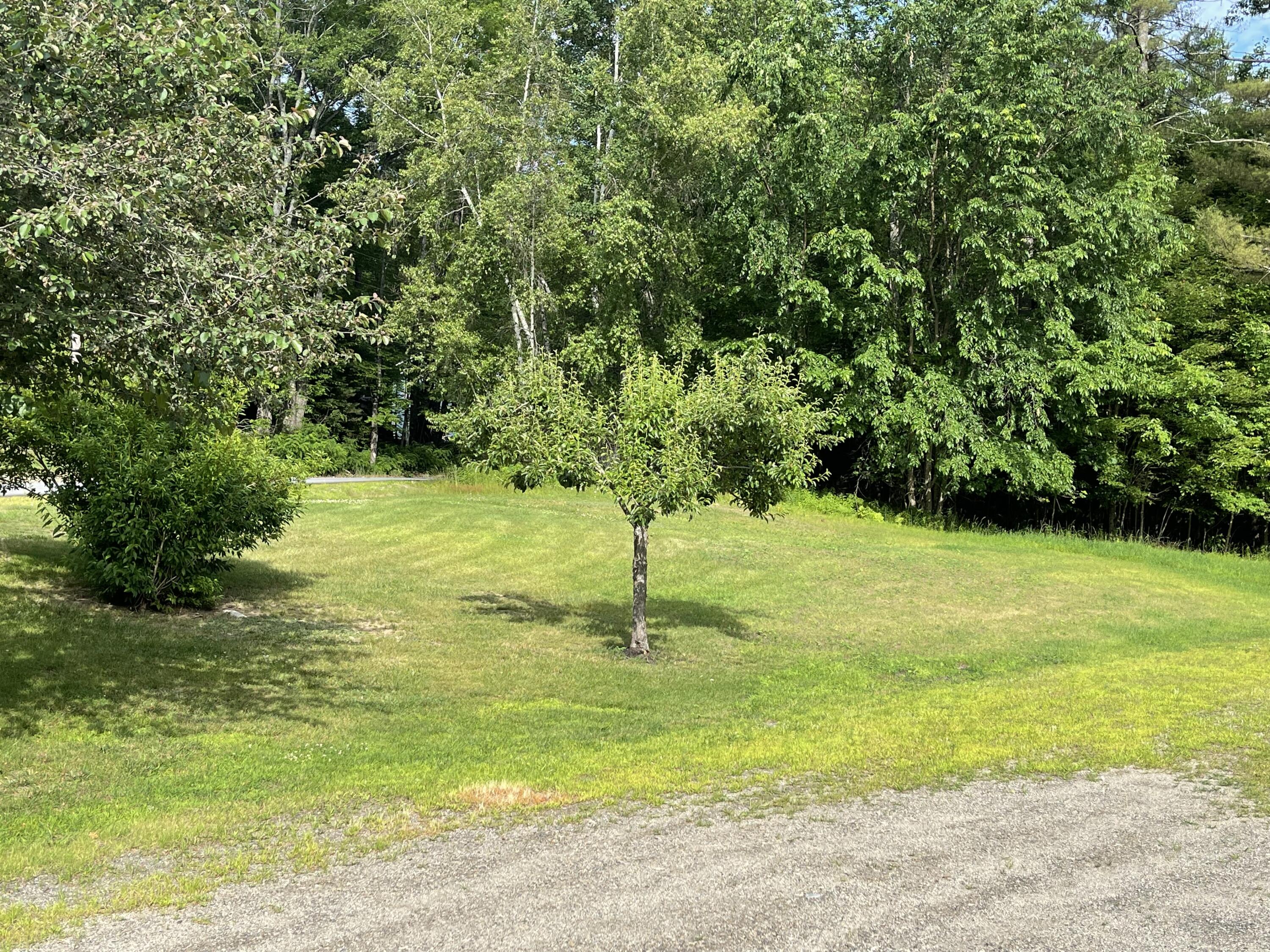 107 Hall Hill Road Dixfield, ME 04224 - Photo 3 of 23 107 Hall Hill front lawn