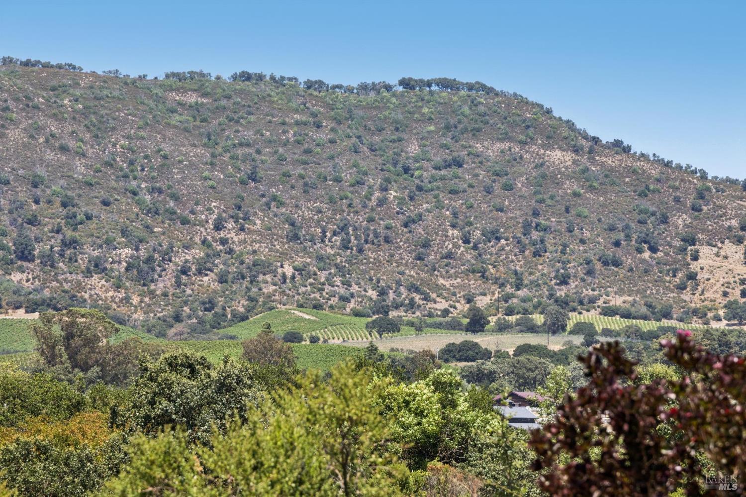 21725 Burndale Road Sonoma, CA 95476 - Photo 46 of 50