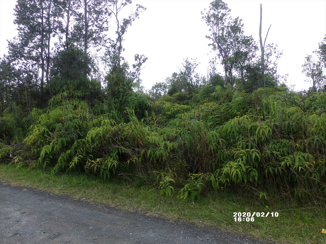 52 Kaleponi Road Pahoa, HI 96778 - Photo 3 of 8 Gallery Image 3