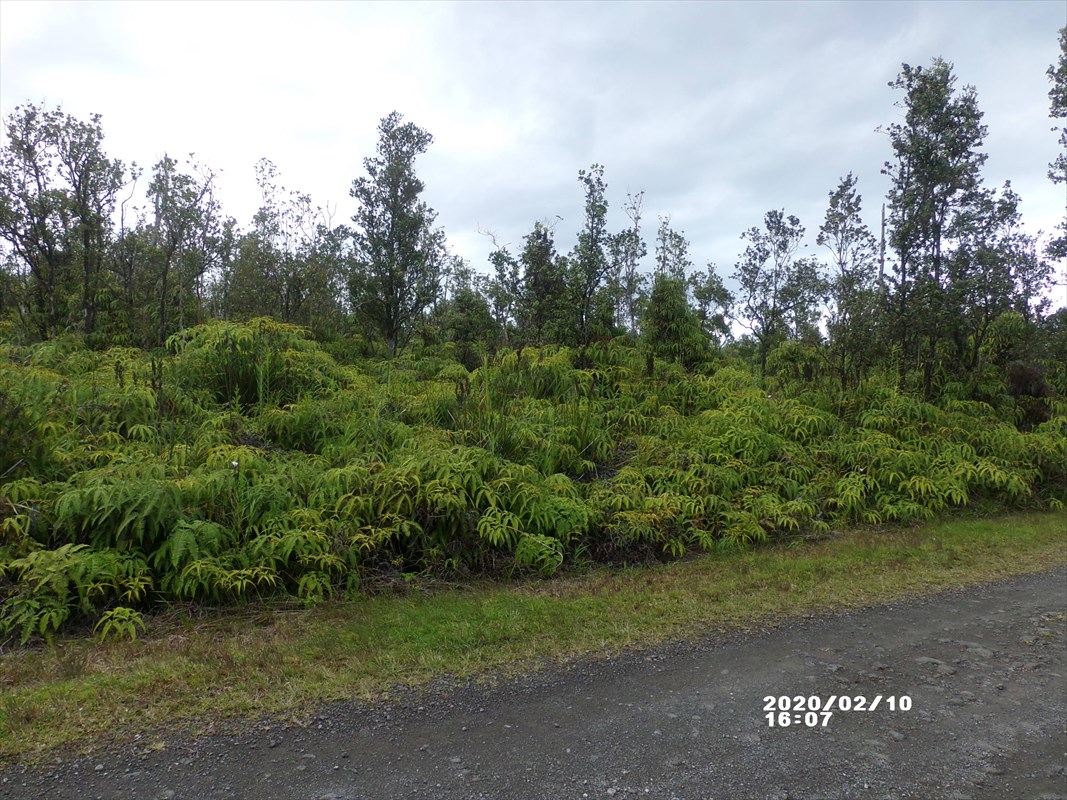 52 Kaleponi Road Pahoa, HI 96778 - Photo 5 of 8 Gallery Image 5