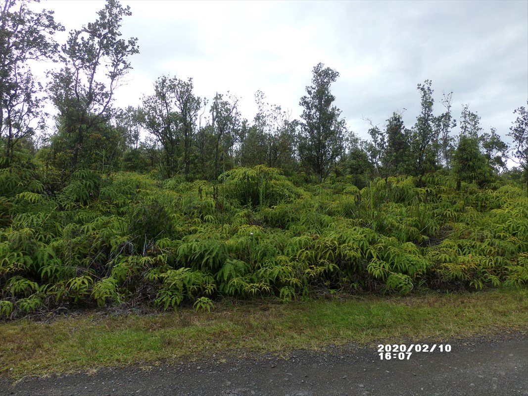 52 Kaleponi Road Pahoa, HI 96778 - Photo 7 of 8 Gallery Image 7