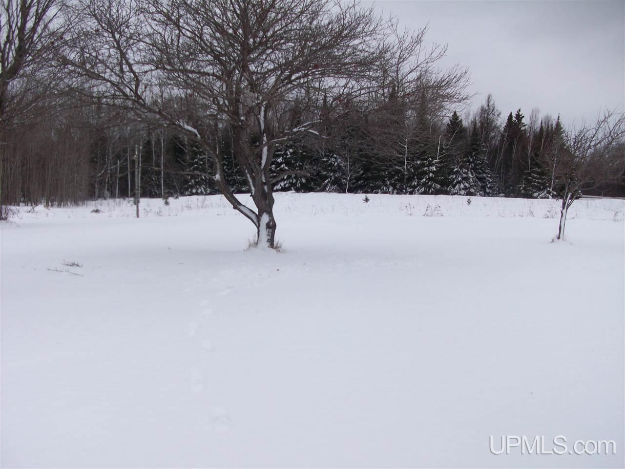 4714 21st Road Cornell, MI 49818 - Photo 5 of 14