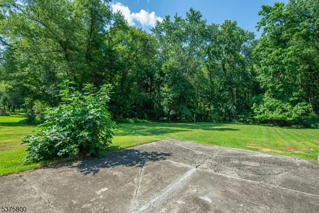 a view of a grassy field with trees