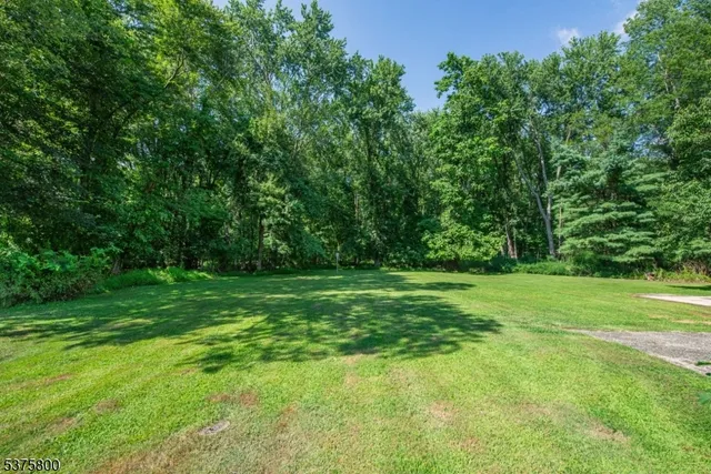 a backyard of a house with plants and large trees