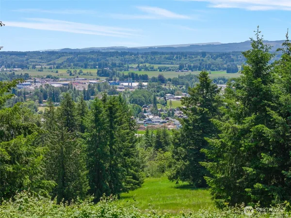 a view of city and mountain