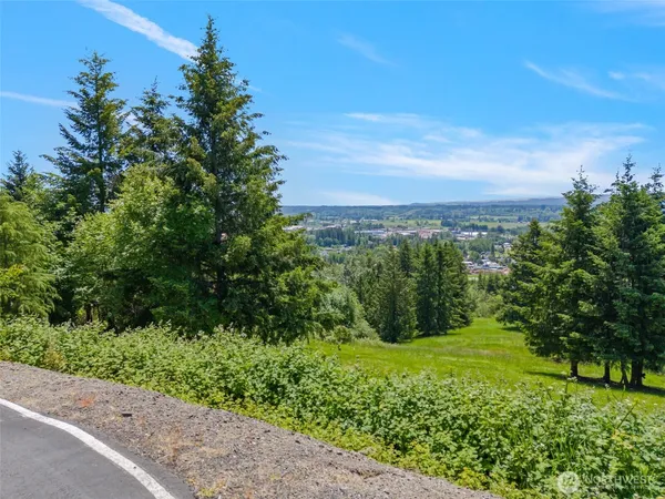a view of a garden with an outdoor space