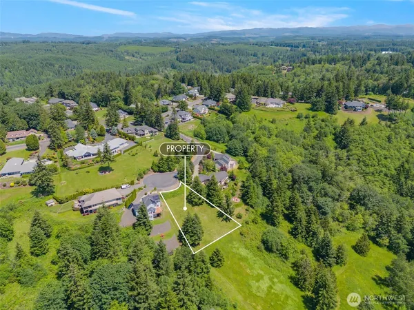 an aerial view of residential houses with outdoor space and trees