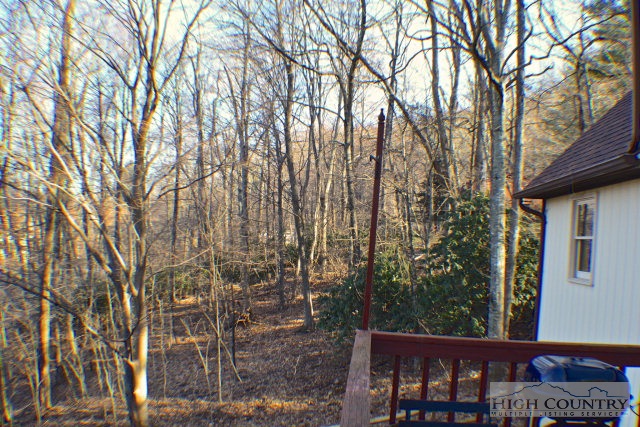 118 Grapevine Circle Boone, NC 28607 - Photo 23 of 30 Gallery Image 23