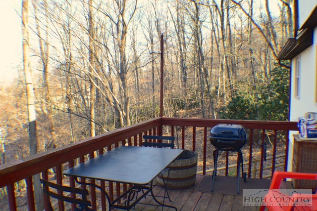 118 Grapevine Circle Boone, NC 28607 - Photo 30 of 30 Gallery Image 30