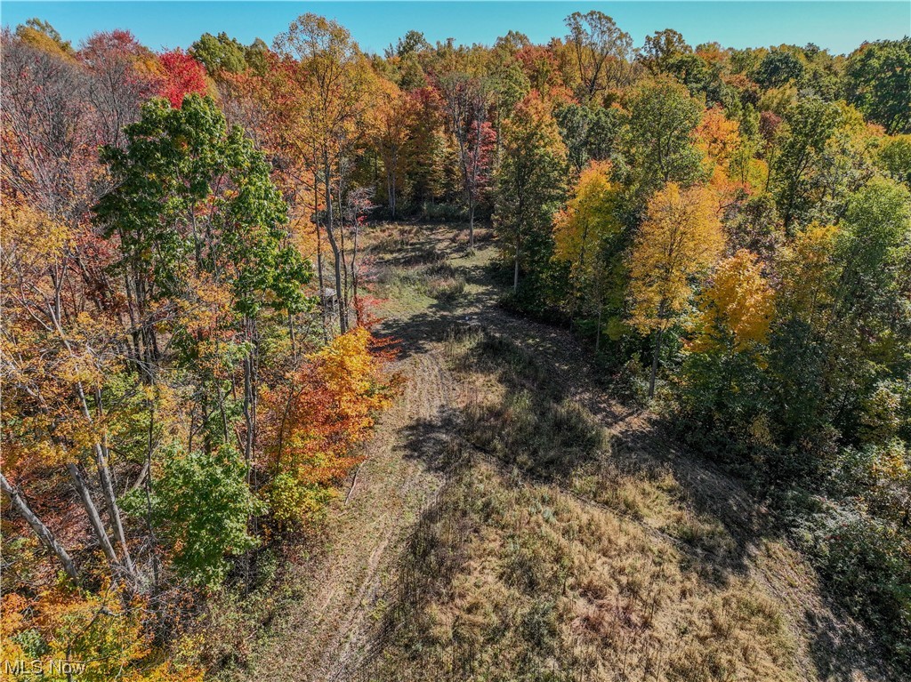 Virtue Road Newcomerstown, OH 43832 - Photo 11 of 33 Gallery Image 11