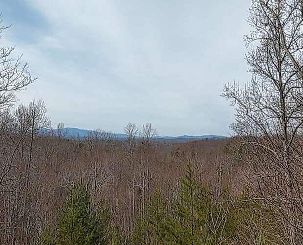 76 Channing Hollow Morganton, GA 30560 - Photo 2 of 47