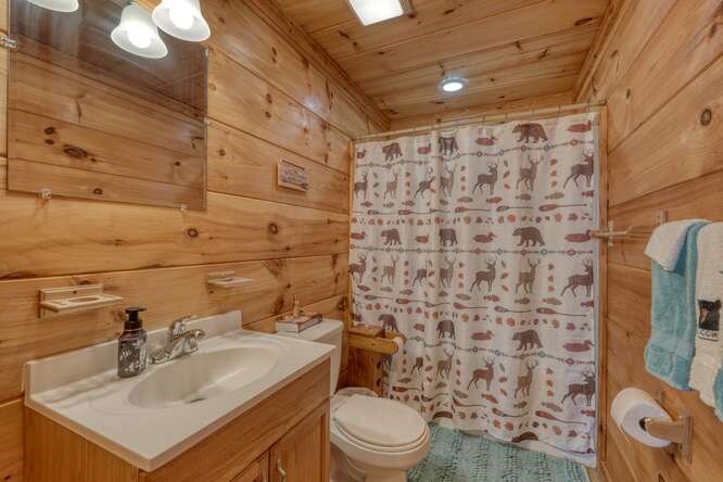 76 Channing Hollow Morganton, GA 30560 - Photo 27 of 47 a bathroom with a sink toilet and shower