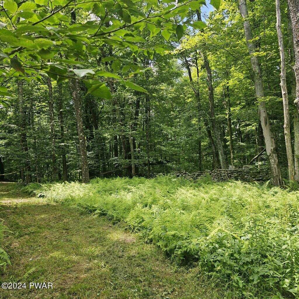 39 Boyds Mills Road Beach Lake, PA 18405 - Photo 41 of 44 Trails