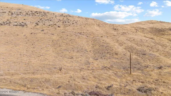 a view of a dry space with mountain view