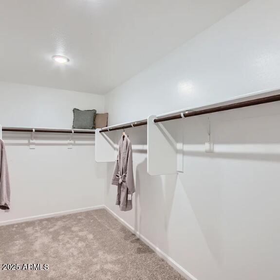 9529 West Cheery Lynn Road Phoenix, AZ 85037 - Photo 12 of 27 Owners Walk in Closet