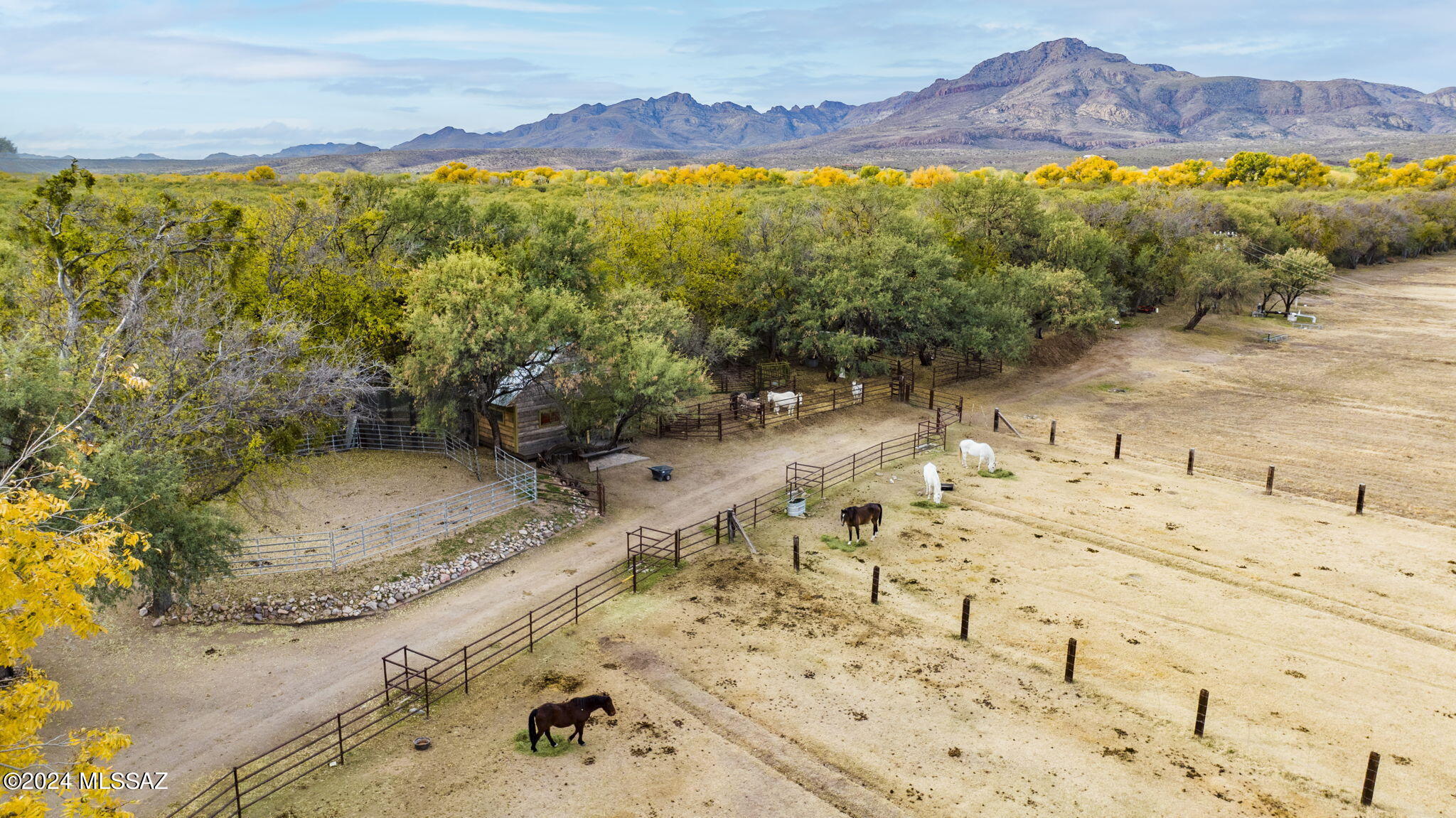 45 Clark Crossing Road Tumacacori, AZ 85640 - Photo 42 of 50 a view of a backyard of a house