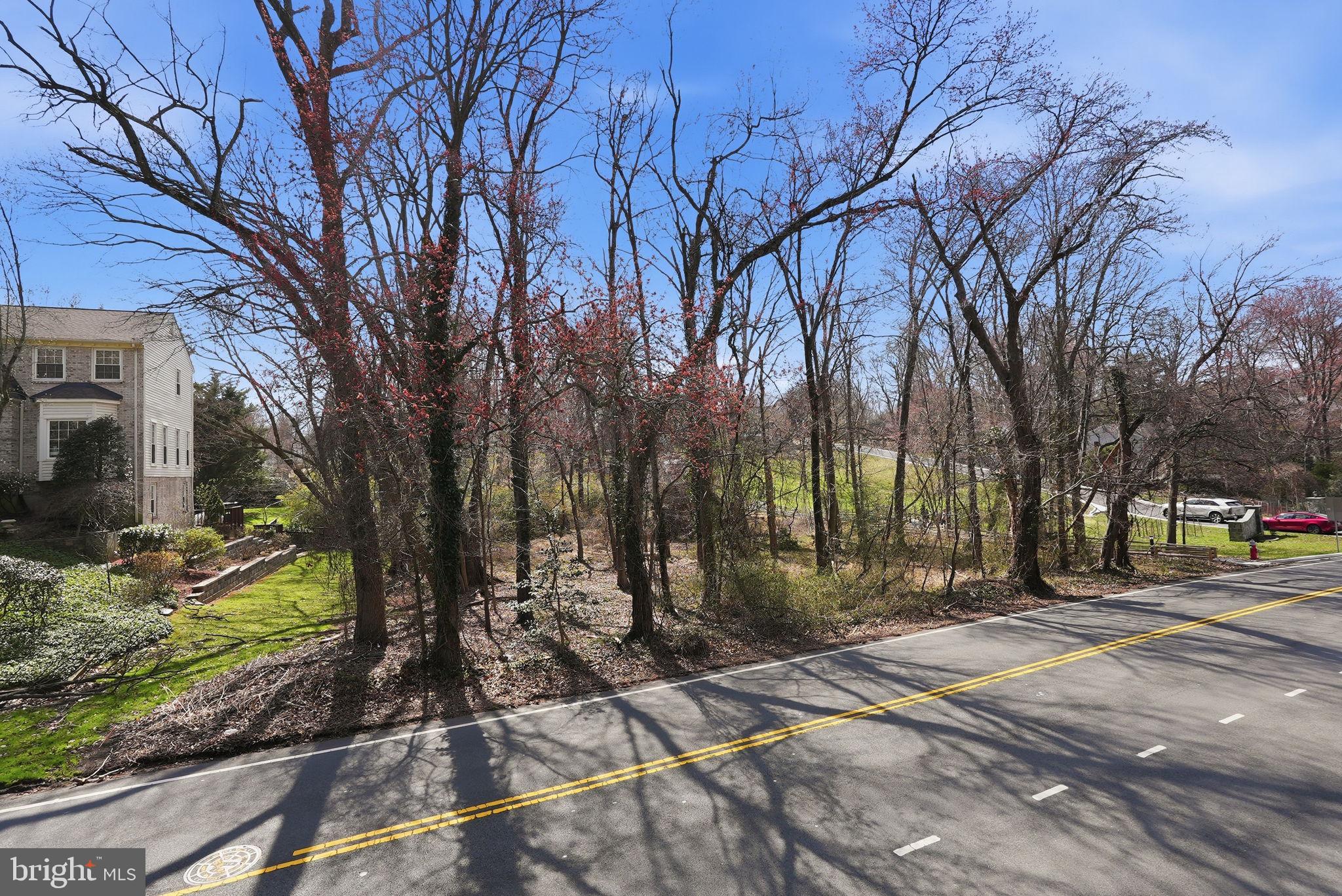0 Linway Terrace McLean, VA 22101 - Photo 7 of 14 a view of a park with large trees