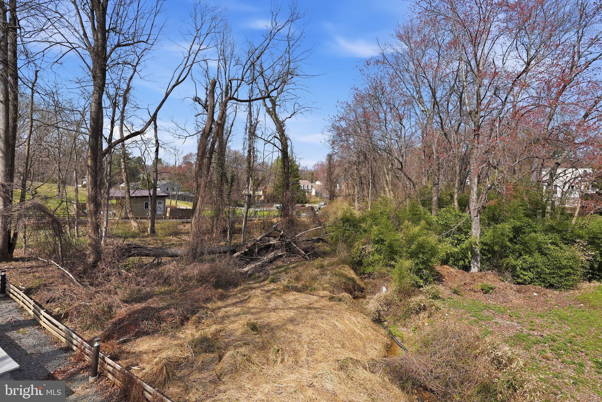 0 Linway Terrace McLean, VA 22101 - Photo 8 of 14 a view of a forest filled with trees