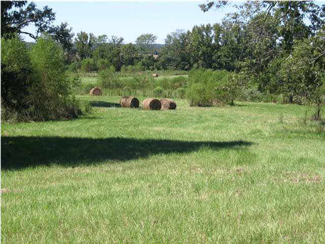 290 Waldrop Road Flora, MS 39071 - Photo 1 of 4 Photo 1