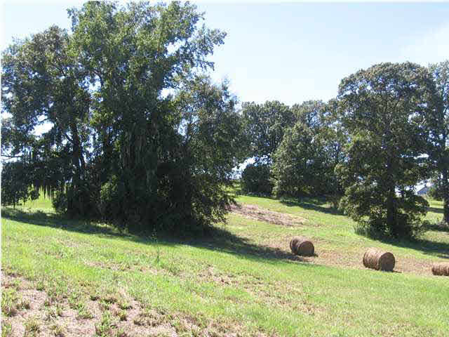 290 Waldrop Road Flora, MS 39071 - Photo 3 of 4 Photo 3