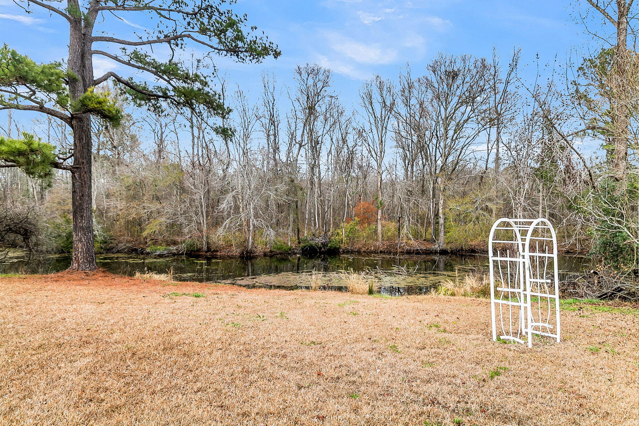 1677 Clearview Drive Manning, SC 29102 - Photo 39 of 41 CREM - 1677 Clearview-8