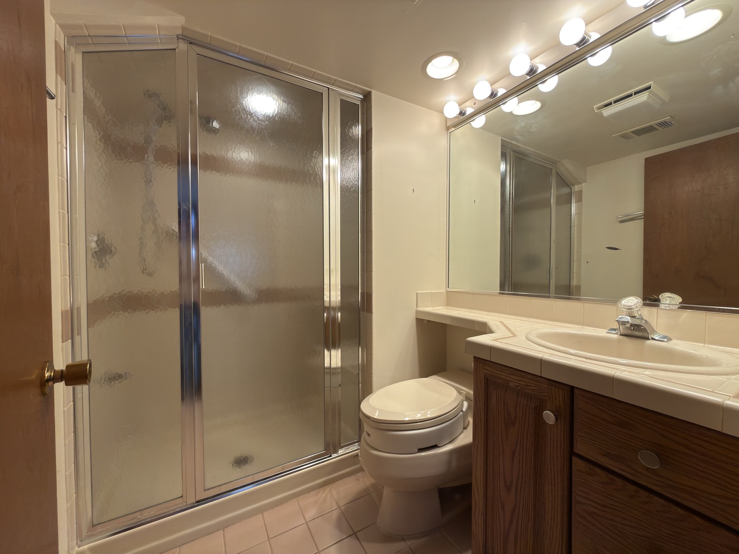 7700 Apple Tree Lane Willowbrook, IL 60527 - Photo 11 of 22