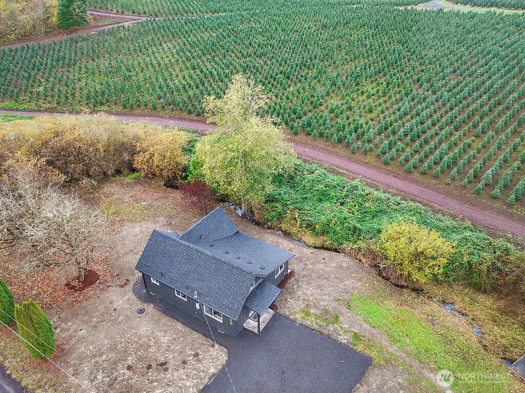 251 Swofford Road Mossyrock, WA 98564 - Photo 37 of 38 a wooden bench sitting in the middle of a yard