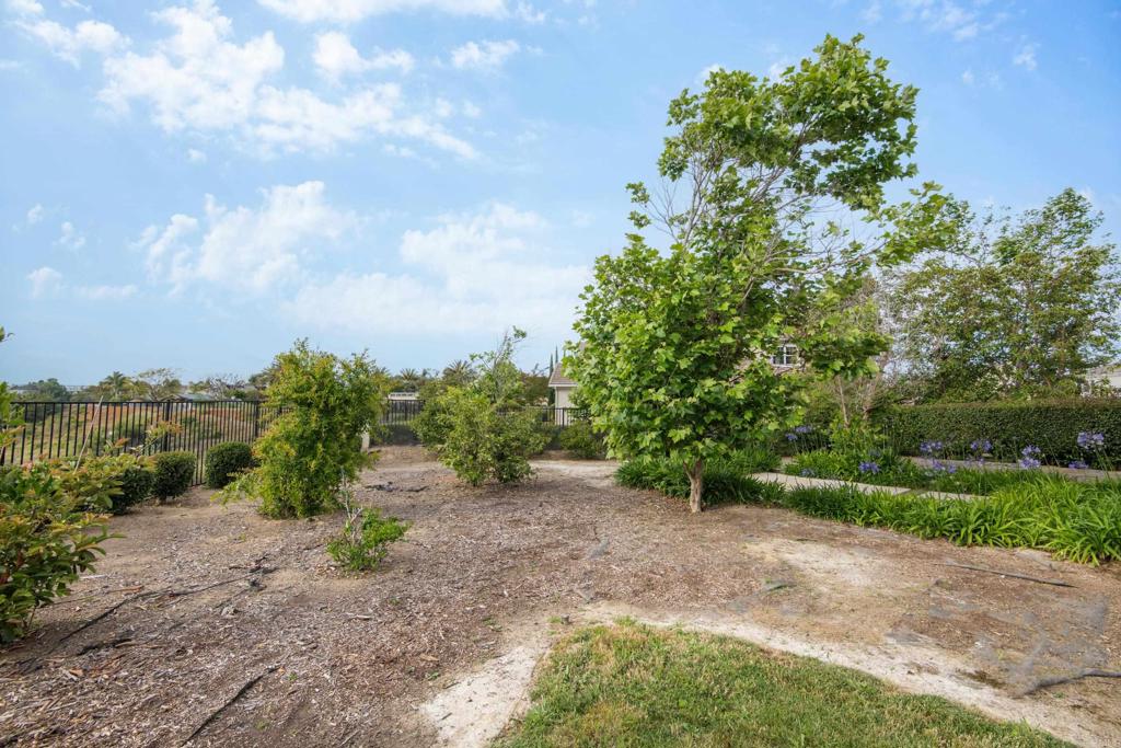 2541 Muirfields Drive Carlsbad, CA 92009 - Photo 46 of 58 a view of a yard with a tree