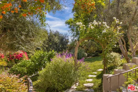 a view of a yard with plants