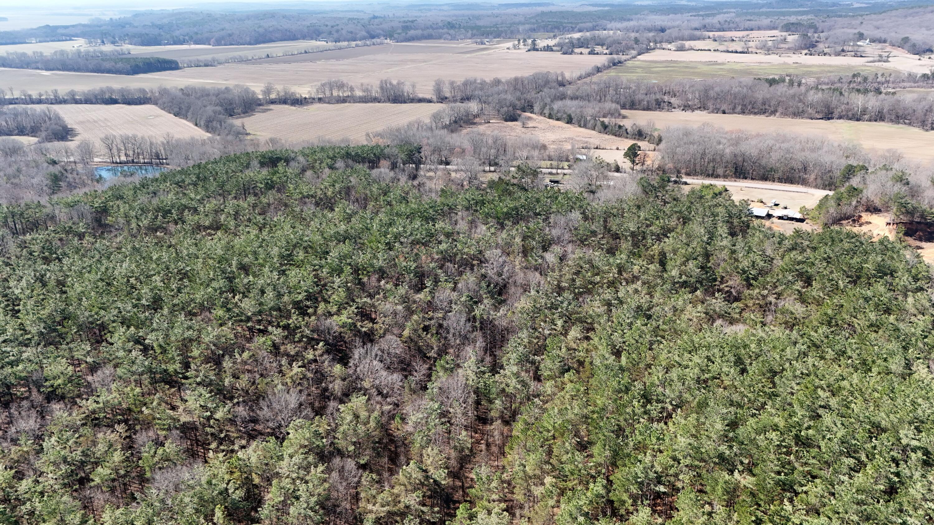 32 Rd Bruce Ms 38915 Gore Springs, MS 38929 - Photo 13 of 33 Gallery Image 13