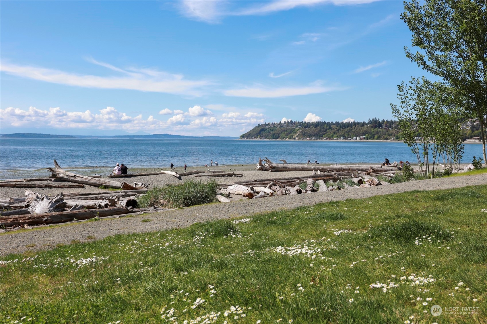 13835 17th Avenue Southwest Burien, WA 98166 - Photo 32 of 33 a view of a outdoor space with mountain view