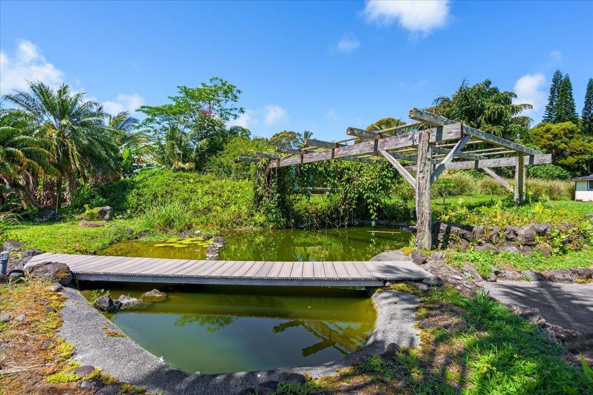 51 West Waipio Road Haiku, HI 96708 - Photo 41 of 50
