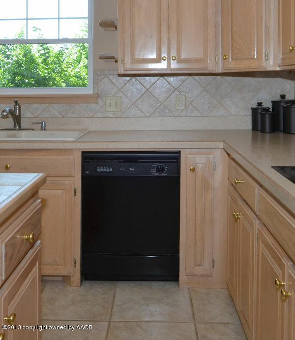 17301 White Wing Road Canyon, TX 79015 - Photo 9 of 40 Kitchen Dishwasher