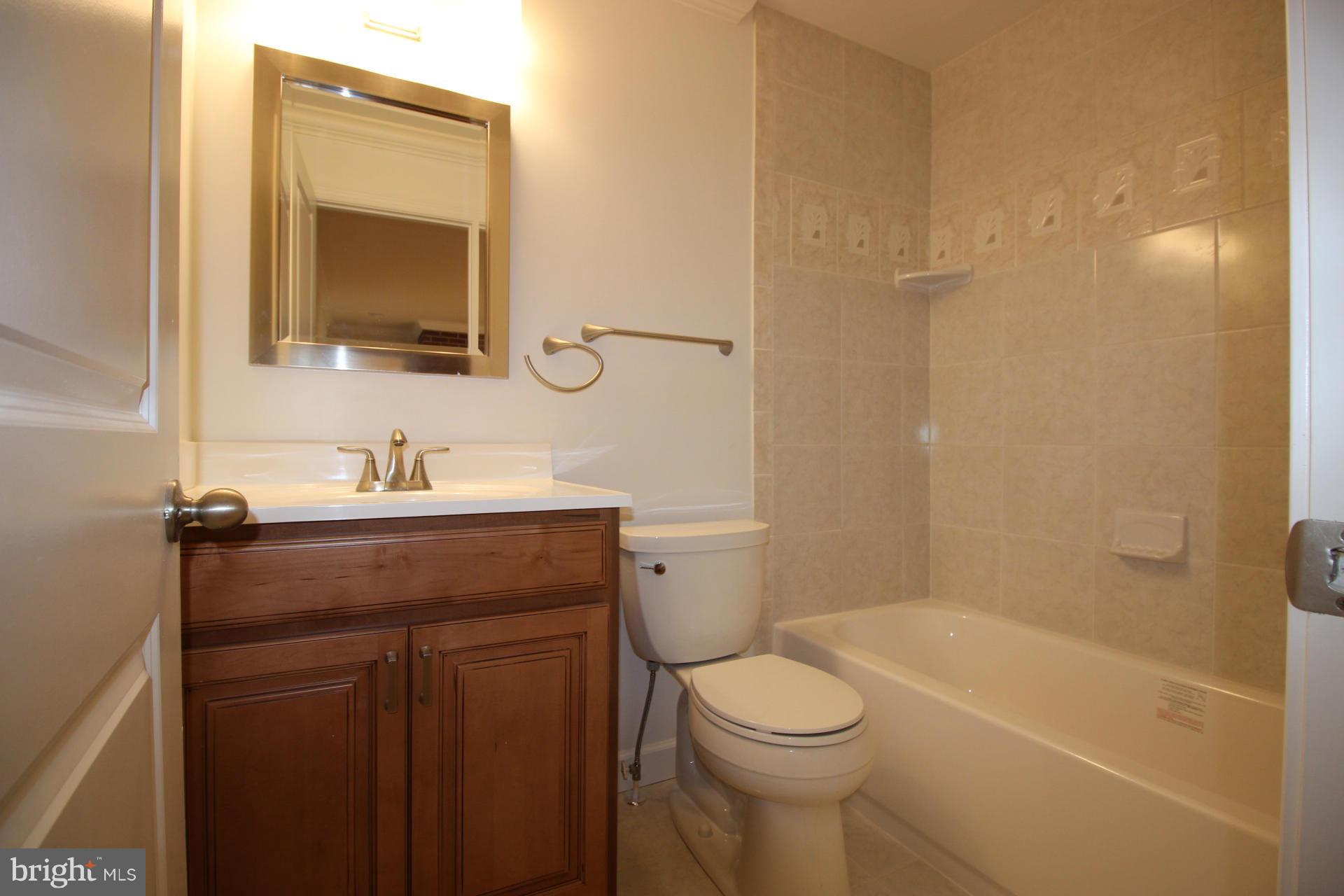 3249 Park Mills Road Adamstown, MD 21710 - Photo 18 of 30 Bath (Master)