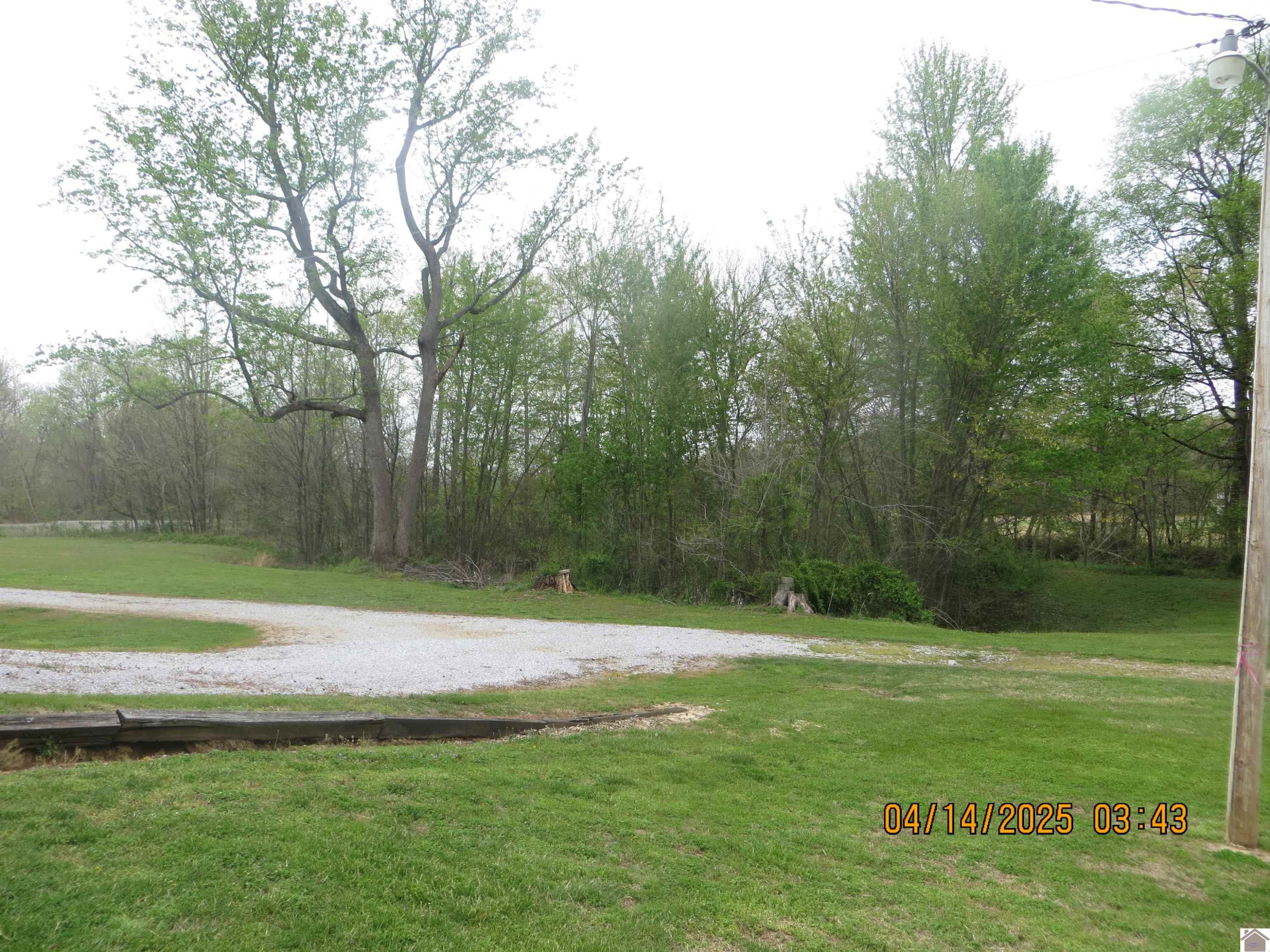 768 Flournoy Road Wickliffe, KY 42087 - Photo 29 of 45 Photo 29