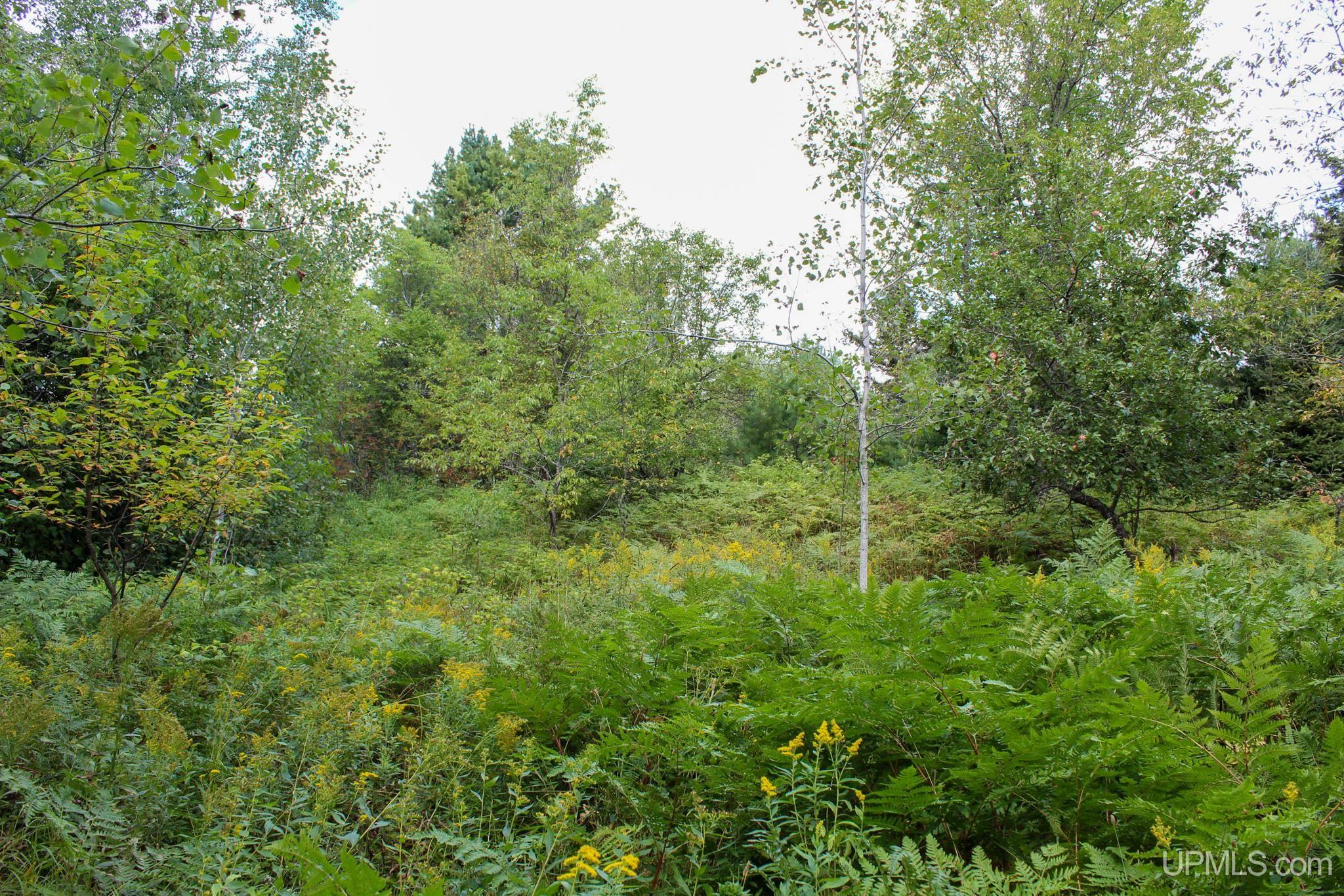 Tbd Michaelson Road Pelkie, MI 49958 - Photo 27 of 73 Gallery Image 27
