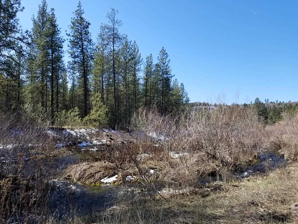 60-xx North Garfield Road Spokane, WA 99224 - Photo 1 of 15